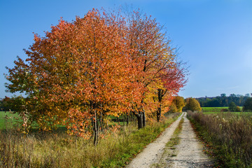 polna droga, piękny jesienny krajobraz