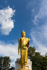Fototapeta na wymiar standing golden buddha statue