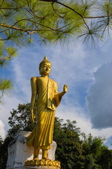 standing golden buddha statue