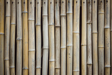 Bamboo stems, furniture.