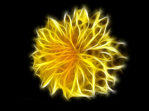 Close-up fractal image of a small yellow spring dandelion flower