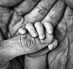 Small child hand holding adult palm symbol of family love and care