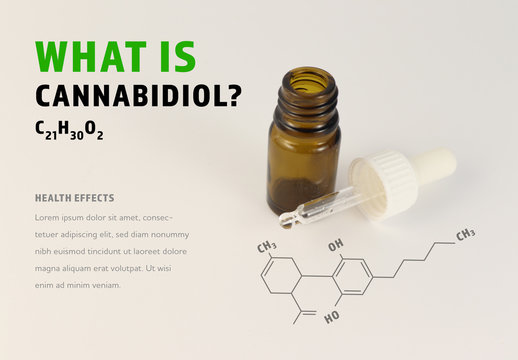 Cannabidiol Oil Infographic with Oil Dropper