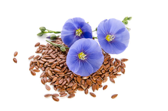 Flaxseed Plant Images – Browse 31,889 Stock Photos, Vectors, and Video |  Adobe Stock