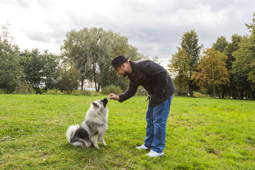 Young man teaches Keeshond puppy  outdoors. The puppy is sitting and looking at the man. Early autumn