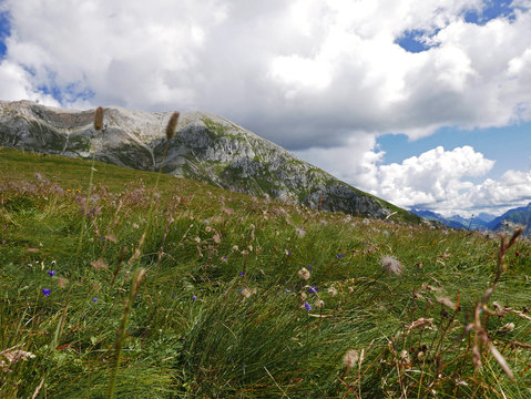 suggestiva vista delle cime dolomitiche in italia, tra vallate verdi e picchi rocciosi