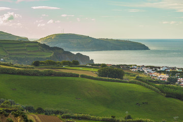 beautiful green wild landscape on the island of Sao Miguel, Azores, Portugal