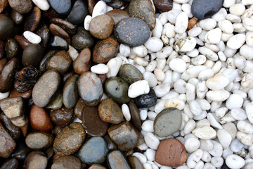 White and dark brown sea pebbles as a background