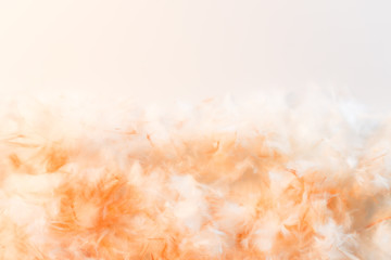 Beautiful abstract yellow and brown feathers frame on white background and colorful soft orange feather portrait frame texture