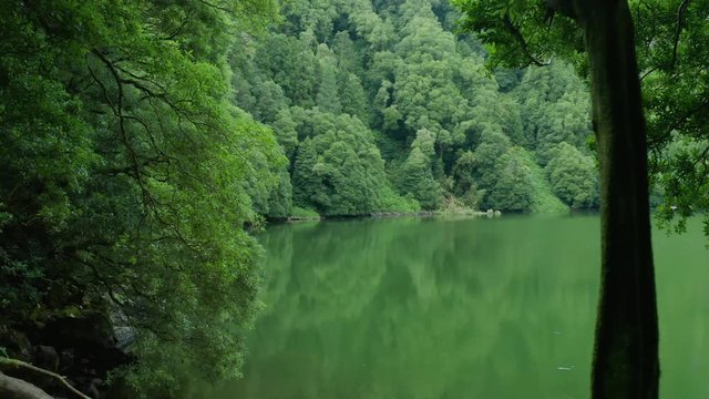 Drone passing through the trees and revealing the green Lagoa do Congro. Amazing crater lake in Azores.