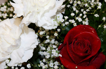 Arrangement of red rose, white carnation and babys breath flowers. flowers.