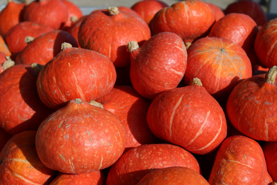 Potimarrons, stand, &eacute;tal de potimarron au march&eacute;