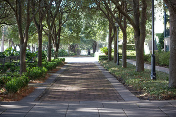park walkway
