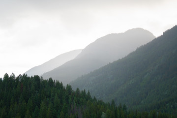 Foggy Mountain View