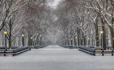 Stickers pour porte Central Park Central Park en hiver
