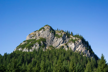 Maly Rozsutec, Mala Fatra, Slovakia - top of the rocky mountains. Rocks, trees, forest and clear blue sky