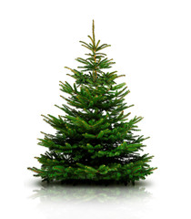 Glänzend Dekorierter Weihnachtsbaum mit Weihnachtskugeln