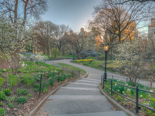 Central Park in spring