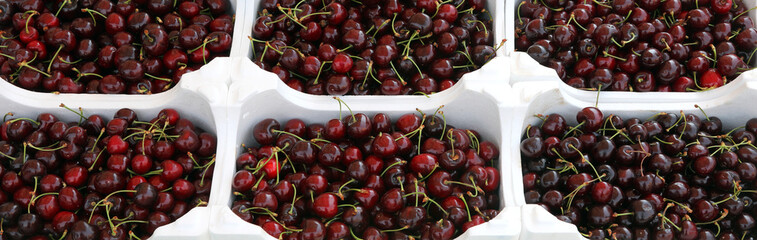 trays of cherries for sale at local market
