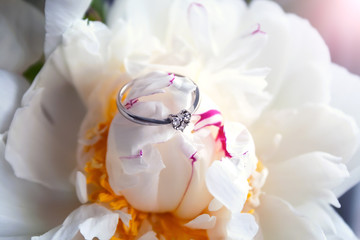 A closeup view of a beautiful white gold engagement ring with three small diamonds in the shape of a heart lying on a white peony flower bud. Selective focus