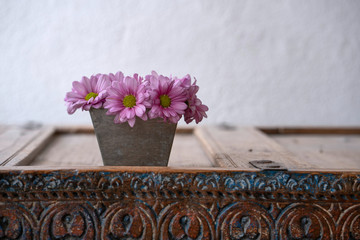 Bunch of asters in pot on wooden furniture with ornaments