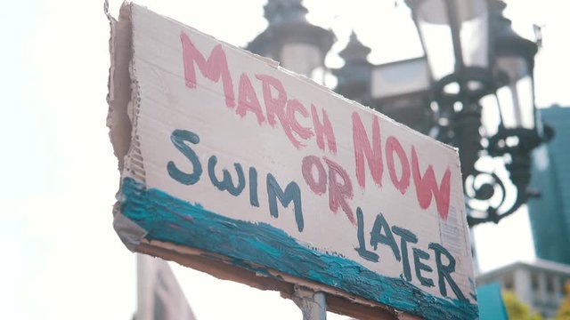 World Climate Strike Protests by Fridays for Future in Germany