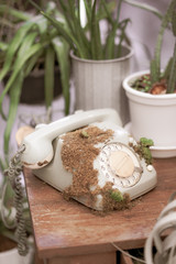 Old telephone. A vintage analogue telephone with no one using so it becomes dirty with moss and fungus. It becomes artifact symbol of the past because new generation is using smartphone.