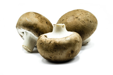 fresh mushrooms isolated on white background