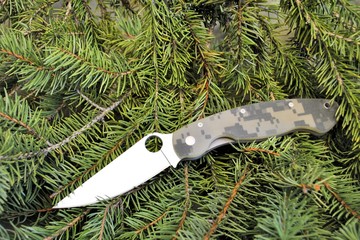Folding knife stainless steel sharp blade camouflage handle spruce evergreen needles background