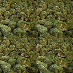 Seamless Texture of Rocks Covered in Moss from the Forests of Sintra