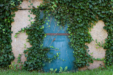 Graveyard Door with Ivy