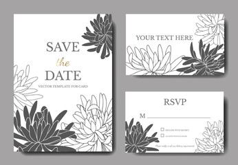 Vector Chrysanthemum floral botanical flower. Black and white engraved ink art. Wedding background card.