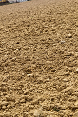 Plowed Field Background