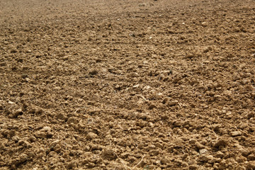 Plowed Field Background