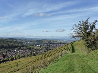 Blick auf Müllheim und Vogesen