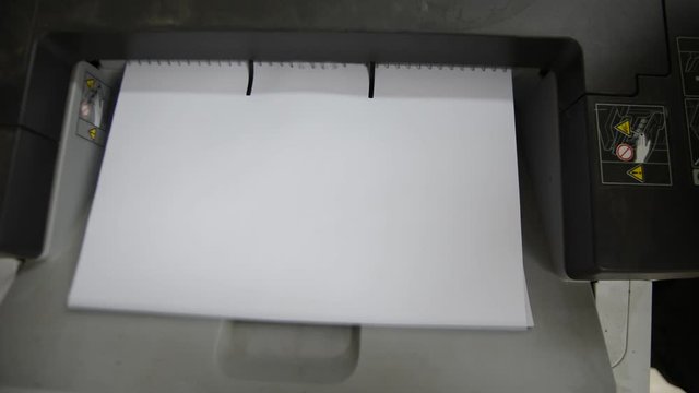 Office printer at work. Sheets of paper in a copier.