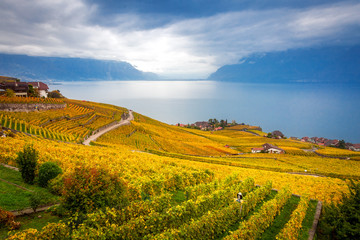 Beautiful autumn landscape of Lake Geneva, Lavaux vineyard terraces and Alps, Switzerland, Europe.