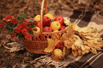 autumn fruit basket