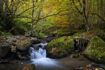 Waterfall in the mountains, autumn landscape in deep forest