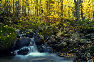 Waterfall in the mountains, autumn landscape in deep forest