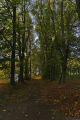 Naklejka premium Weg im Herbst