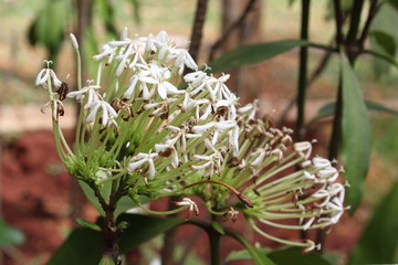 Fotos na natureza