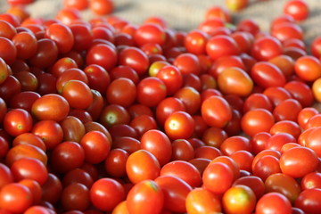 Delicious red tomatoes. Summer tray market agriculture farm full of organic vegetables It can be used as background.