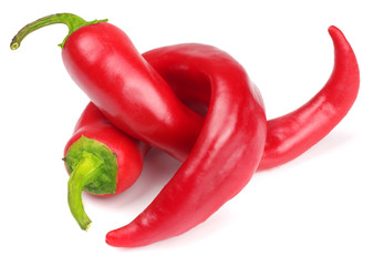 Pepper bitter on white background isolated