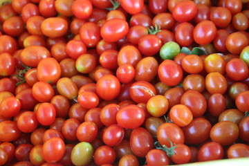 Delicious red tomatoes. Summer tray market agriculture farm full of organic vegetables It can be used as background.