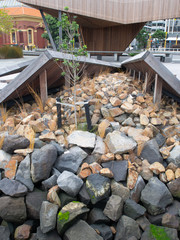 Rocky Garden In The City