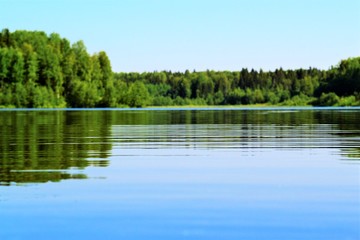 lake in forest