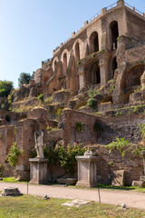 View of the ancient structures of the Roman Forum