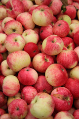 Colorful fresh ripe apple fruits background, selective focus, shallow depth, vertical image