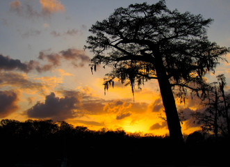 Fototapeta premium Sunset sweet